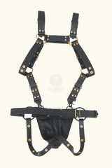 Bold and Stylish Jockstrap with Harness