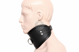 Locking Leather Bondage Posture Collar, view 2