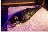 sleepsack leather, sleep sack bondage, men bound in leather sleepsacks, man in leather sleepsack bondage, leather sleepsack bondage, leather sleepsack bdsm, leather sleepsack, leather sleep sack, leather bondage sleepsack, leather bdsm sleepsack, gay leather sleepsack, female leather sleepsack, sleepsack bondage, bondage sleepsack, bdsm sleepsack, sleepsack bodybag, leather bodybag, sleepsack bondage body bag, sleepsack bondage bodybag.